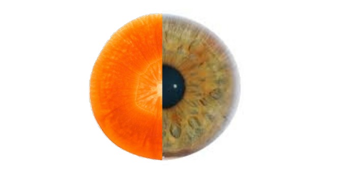 olho e cenoura