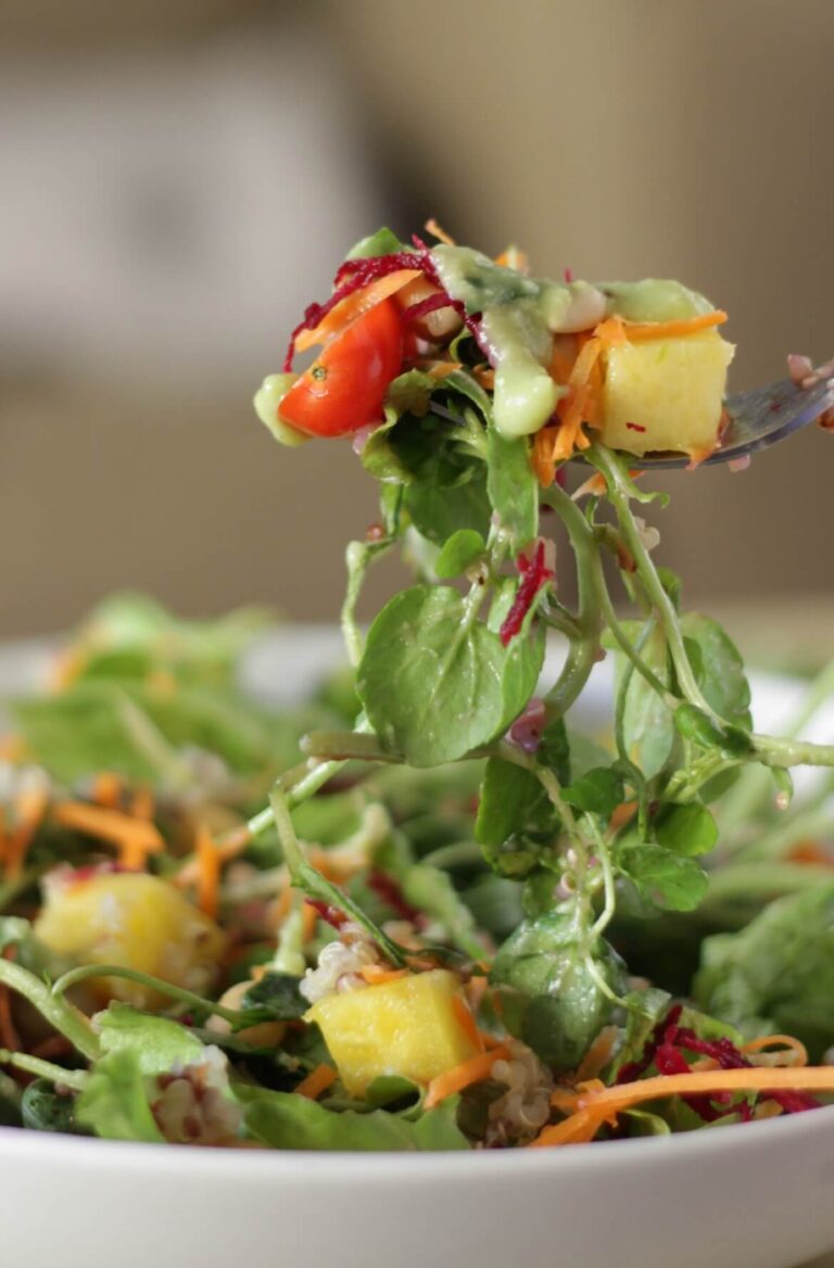 Prato de salada arco iris