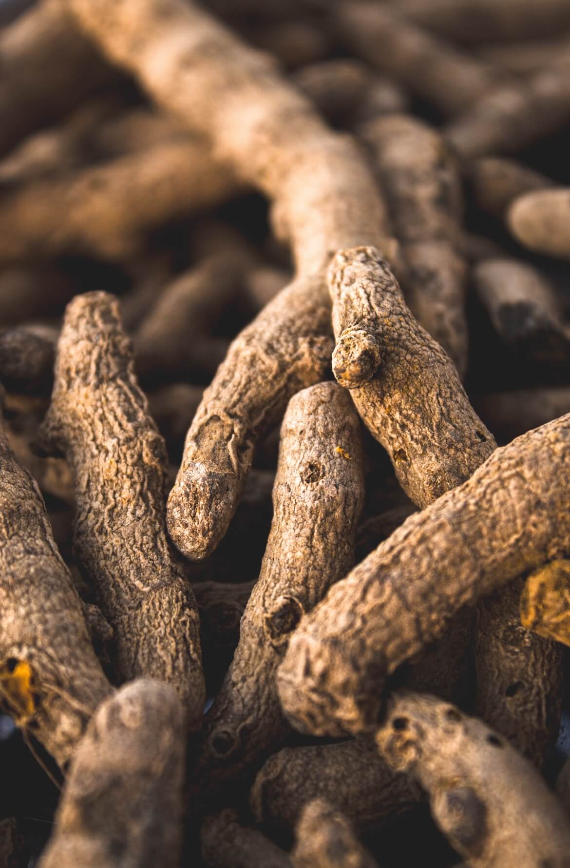 Curcuma: tudo o que precisas saber