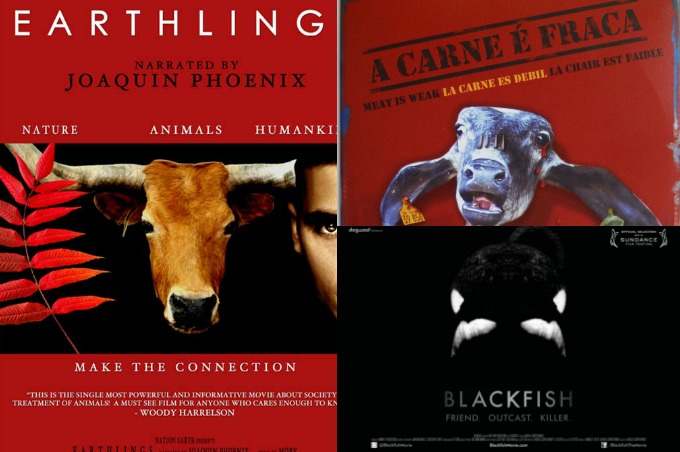 3 documentários sobre exploração animal