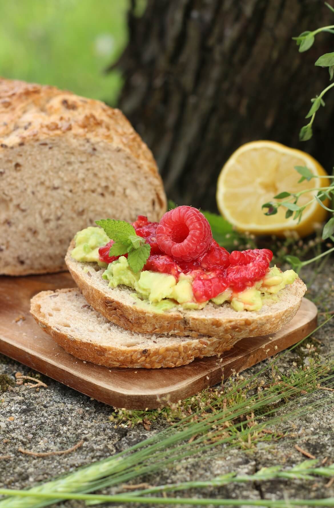 Meloa com pudim de chia e granola